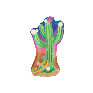 Mexican Cactus Balloon in a Box