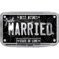 Just Married Plate balloon