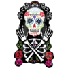 Day Of The Dead Patterned Balloon in a Box Small Image