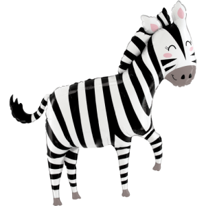 Zebra Balloon in a Box