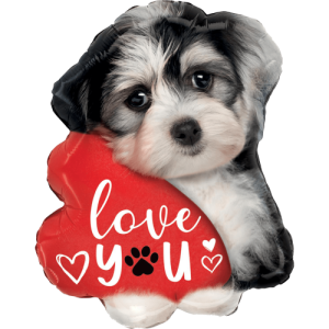 Puppy Love  Balloon in a Box