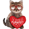 You're Purrfect Cat Balloon in a Box Small Image