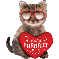 You're Purrfect Cat balloon