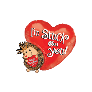 Hedgehog Stuck on You Balloon in a Box