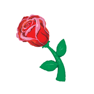 Single Red Rose Stem  Balloon in a Box