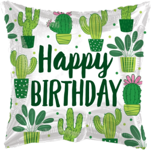Cactus Birthday   Balloon in a Box